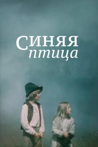 Синяя птица Синяя птица