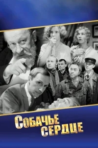 Собачье сердце Собачье сердце
