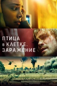 Птица в клетке. Заражение Птица в клетке. Заражение
