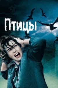 Птицы Птицы