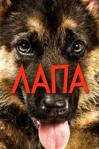 Лапа Лапа