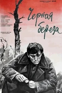 Черная береза Черная береза