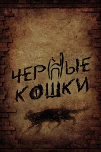 Черные кошки Черные кошки