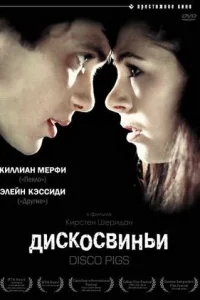 Дискосвиньи Дискосвиньи