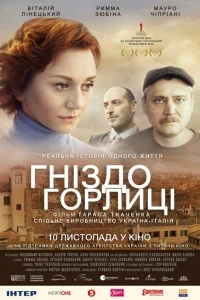 Гнездо горлицы Гнездо горлицы