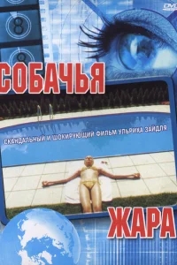 Собачья жара Собачья жара