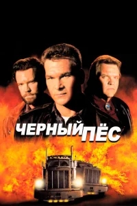 Черный пес Черный пес