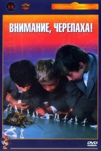 Внимание, черепаха! Внимание, черепаха!
