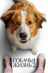 Собачья жизнь 2 Собачья жизнь 2