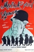 Кот под шлемом Кот под шлемом