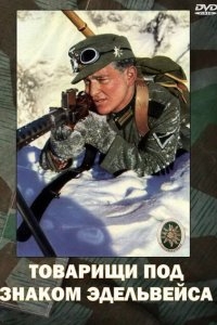 Товарищи под знаком Эдельвейса Товарищи под знаком Эдельвейса