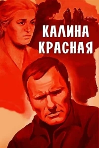 Калина красная Калина красная