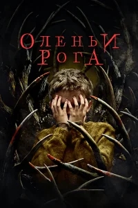 Оленьи рога Оленьи рога