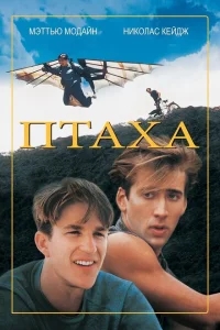 Птаха Птаха