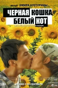 Черная кошка, белый кот Черная кошка, белый кот