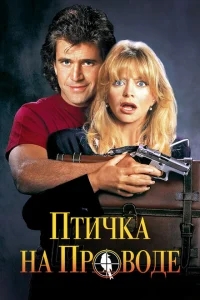 Птичка на проводе Птичка на проводе