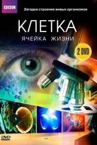 BBC: Клетка BBC: Клетка