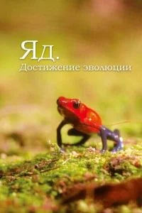 Яд. Достижение эволюции Яд. Достижение эволюции