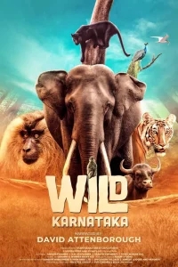 Дикая Карнатака Дикая Карнатака