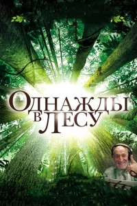Однажды в лесу Однажды в лесу