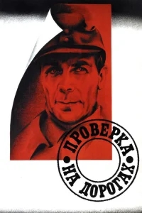 Проверка на дорогах Проверка на дорогах