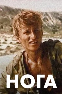 Нога Нога