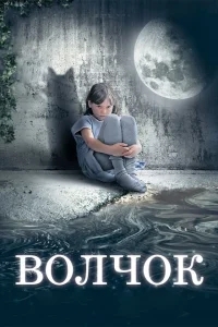 Волчок Волчок