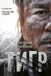 Тигр Тигр