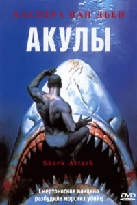 Акулы Акулы