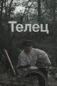 Телец Телец