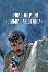 Провал операции «Большая медведица» Провал операции «Большая медведица»