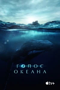 Голос Океана Голос Океана