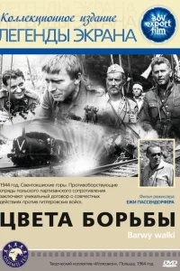 Цвета борьбы Цвета борьбы
