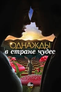 Однажды в стране чудес Однажды в стране чудес