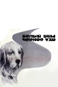 Белый Бим Черное ухо Белый Бим Черное ухо