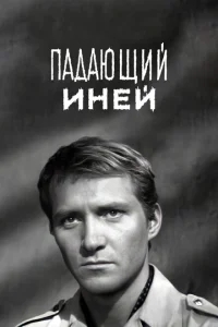 Падающий иней Падающий иней