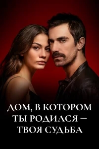 Дом, в котором ты родился - твоя судьба Дом, в котором ты родился - твоя судьба