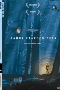 Тайна старого леса Тайна старого леса