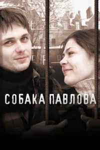 Собака Павлова Собака Павлова