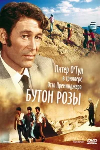 Бутон розы Бутон розы