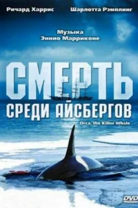 Смерть среди айсбергов Смерть среди айсбергов