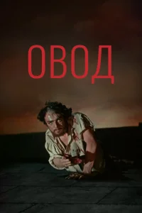 Овод Овод