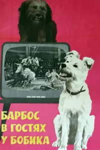 Барбос в гостях у Бобика Барбос в гостях у Бобика