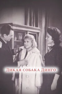 Дикая собака динго Дикая собака динго