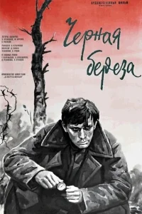 Черная береза Черная береза