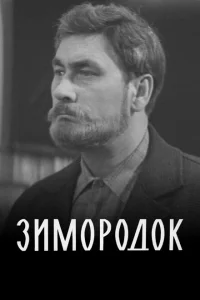 Зимородок Зимородок