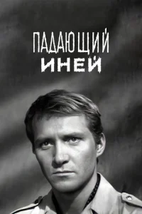 Падающий иней Падающий иней