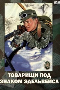 Товарищи под знаком Эдельвейса Товарищи под знаком Эдельвейса