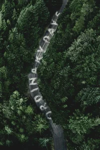Обычные дни Обычные дни