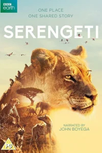Серенгети Серенгети